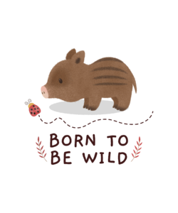 Born to be wild