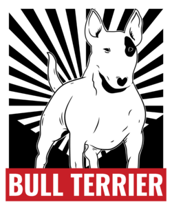 Bull terrier